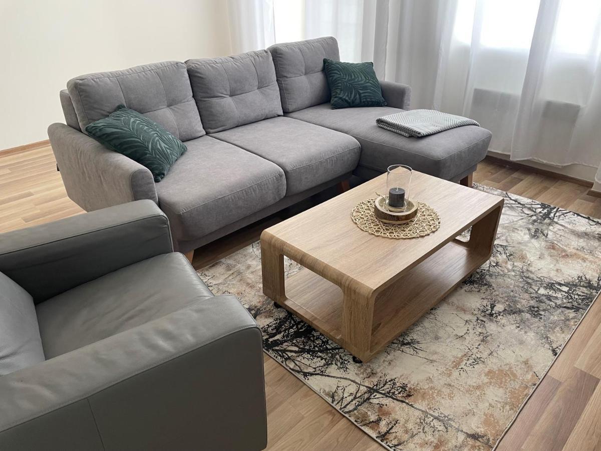 Apartman Studnice Na Vysocine Нове Место на Мораве Екстериор снимка